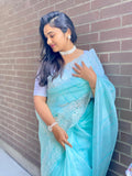 Organza Saree With Intricate Floral Embroidery